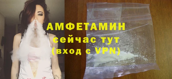 дживик Бородино