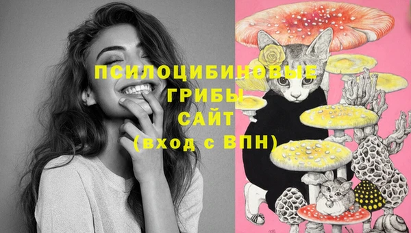 дживик Бородино