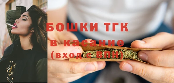 дживик Бородино