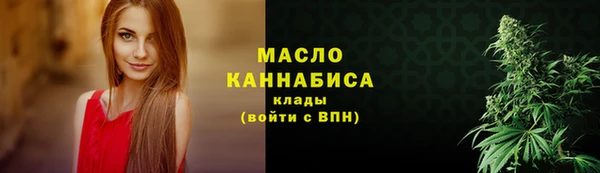 дживик Бородино