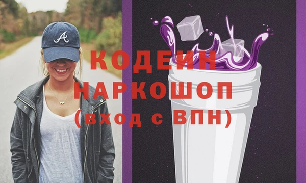 дживик Бородино