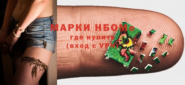 дживик Бородино