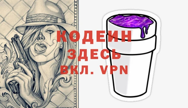 дживик Бородино