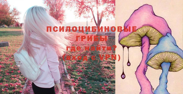 дживик Бородино