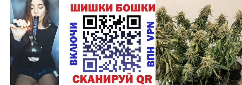 Купить где Боровск Бошки Шишки семена